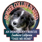 Border Collies in Need